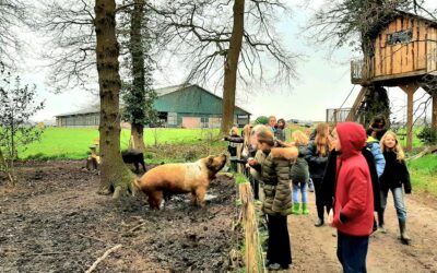 Met de klas de boerderij beleven