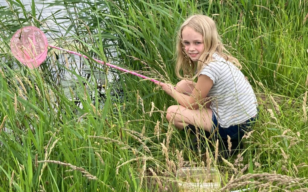 Het IVN Olst-Wijhe organiseert een slootjesdag!!