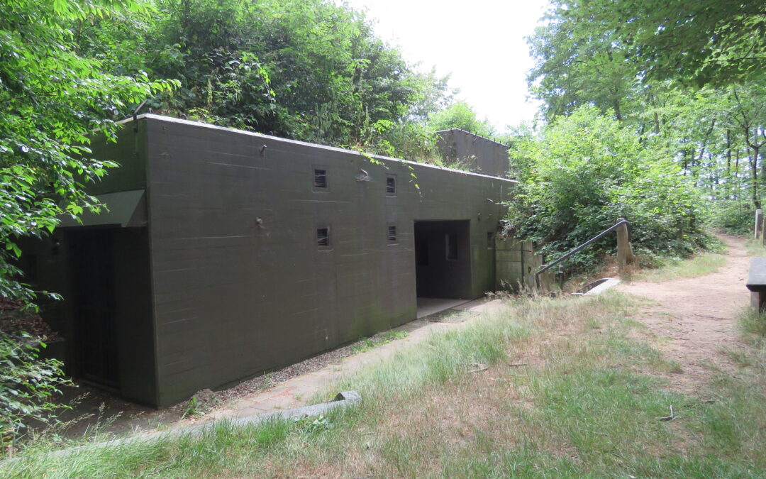 Open dag bunkers IJssellinie