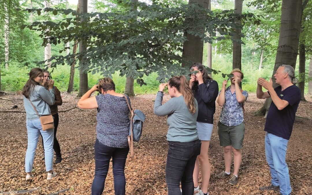 Heb jij het onzichtbare bos al wel eens gezien?